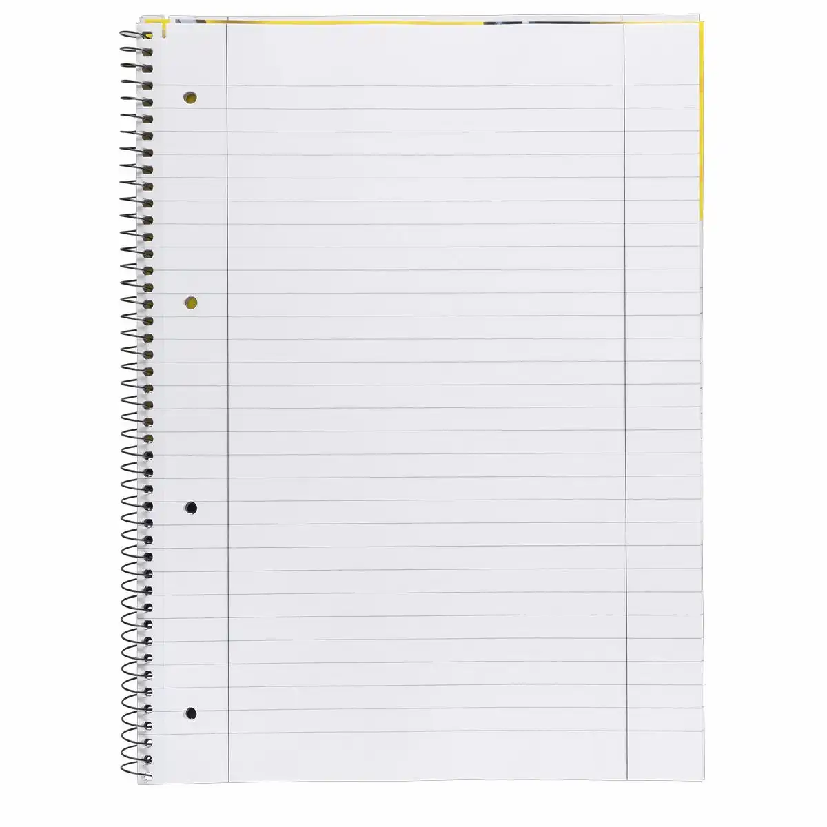 10391_01 blank