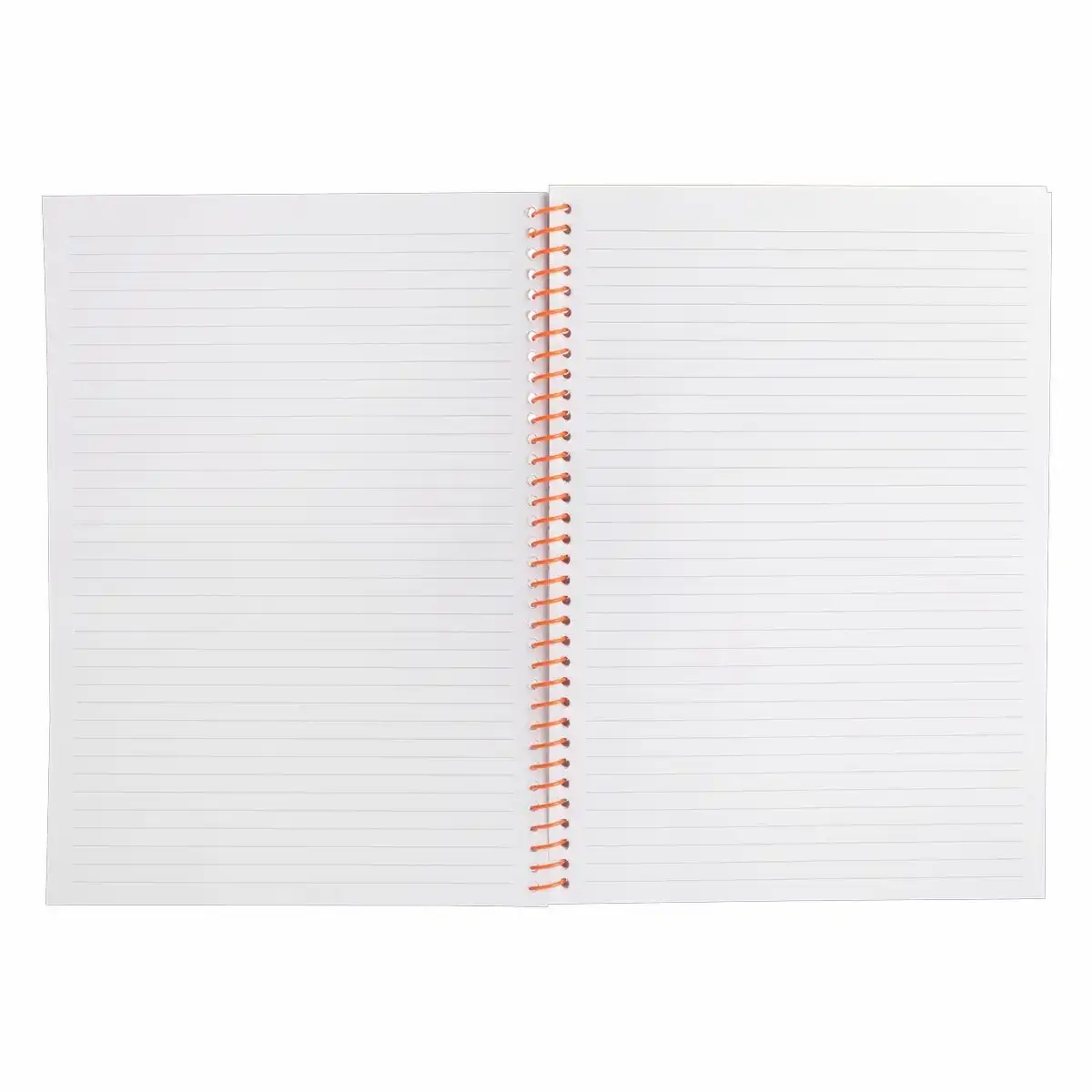 11557_05 blank