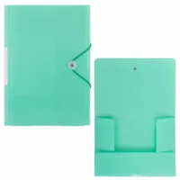 Idena Sammelmappe PP mit Gummizugverschluss und Rückenschild pastell DIN A4 - mint