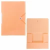 Idena Sammelmappe PP mit Gummizugverschluss und Rückenschild pastell DIN A4