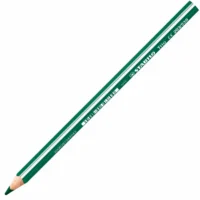 STABILO Buntstift Trio dick 17,5cm 12er Pack - grün