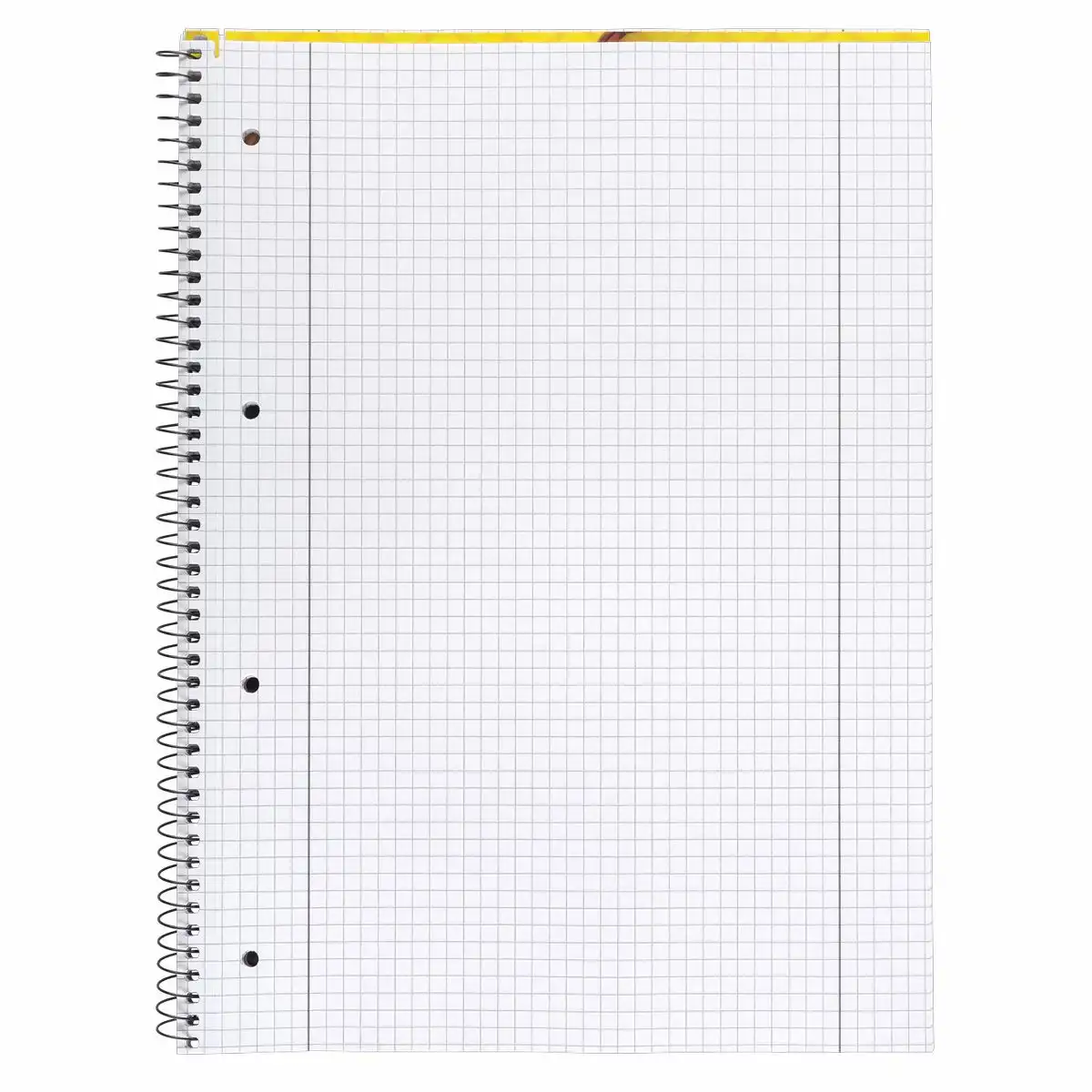 10392_01 Idena Collegeblock Lineatur 28 kariert mit Doppelrand 80 Blatt 70g/m² DIN A4 5er Pack